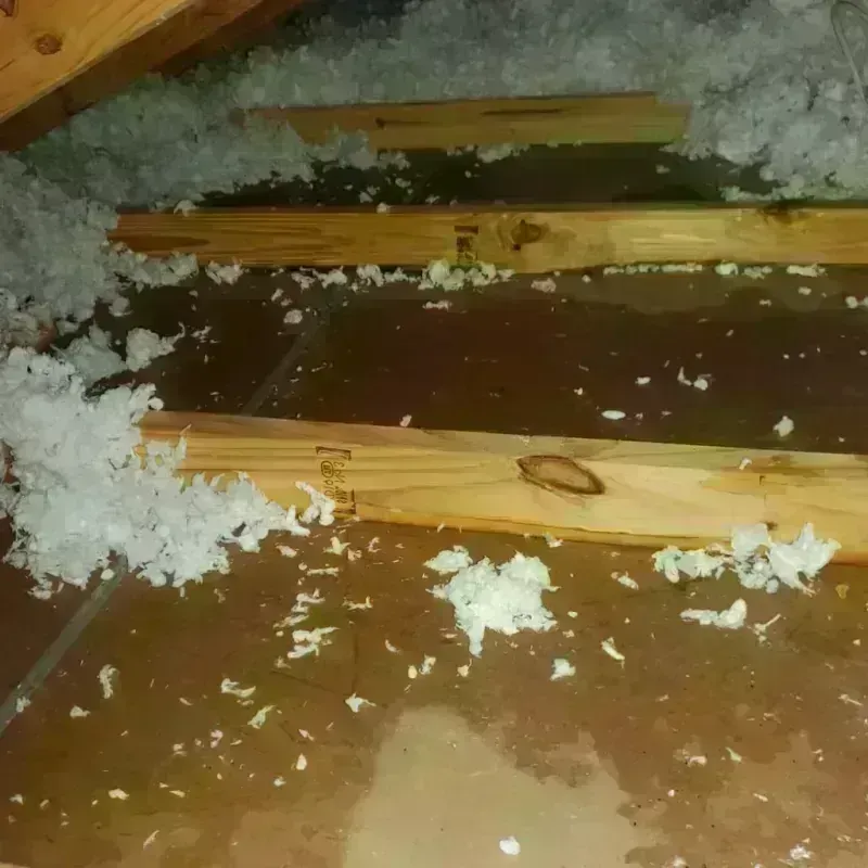 Attic Water Damage in Hamlin, WV